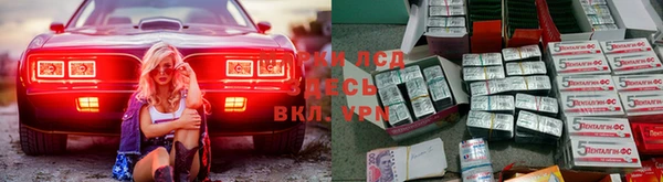 spice Сатка