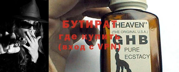 прущие грибы Вязьма