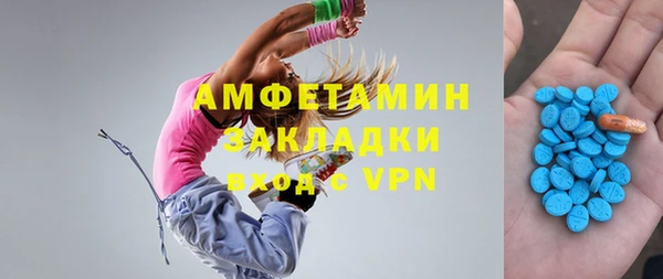 прущие грибы Вязьма