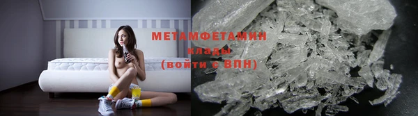 прущие грибы Вязьма
